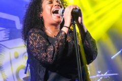 07-doctor-and-the-medics-music-in-village