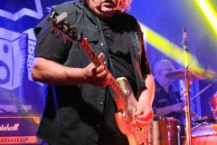18-doctor-and-the-medics-music-in-village