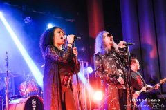 19-doctor-and-the-medics-music-in-village