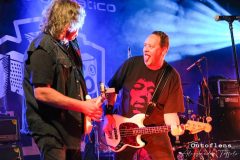 21-doctor-and-the-medics-music-in-village