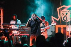 02-horace-andy-music-in-village