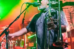 08-horace-andy-music-in-village