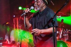 09-horace-andy-music-in-village