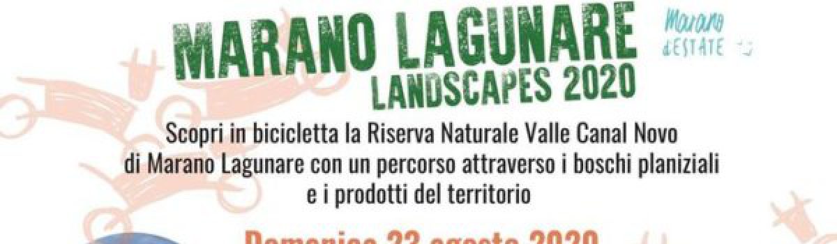 Landscapes 2020